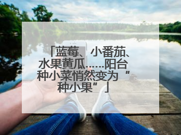 蓝莓、小番茄、水果黄瓜……阳台种小菜悄然变为“种小果”