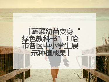 蔬菜幼苗变身“绿色教科书”！哈市各区中小学生展示种植成果