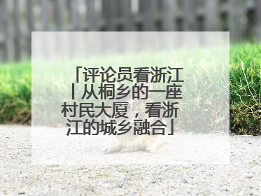 评论员看浙江丨从桐乡的一座村民大厦，看浙江的城乡融合