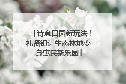 诗意田园新玩法！礼贤镇让生态林地变身惠民新乐园