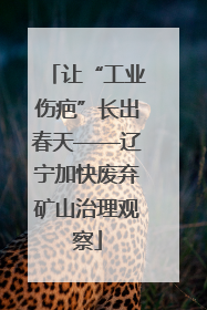 让“工业伤疤”长出春天——辽宁加快废弃矿山治理观察