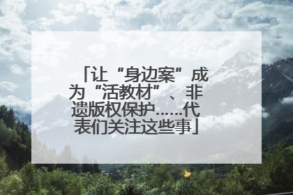 让“身边案”成为“活教材”、非遗版权保护……代表们关注这些事