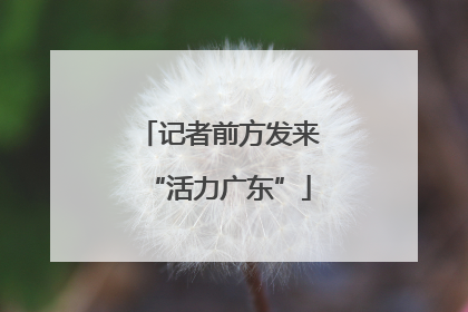 记者前方发来“活力广东”