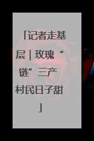 记者走基层｜玫瑰“链”三产 村民日子甜