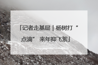 记者走基层｜杨树打“点滴” 来年抑飞絮