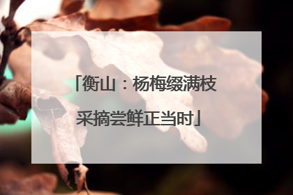 衡山：杨梅缀满枝 采摘尝鲜正当时