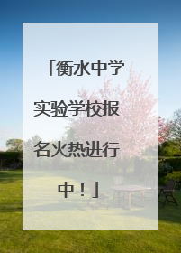衡水中学实验学校报名火热进行中！