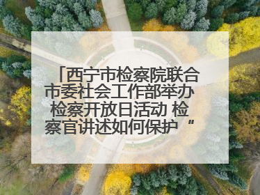 西宁市检察院联合市委社会工作部举办检察开放日活动 检察官讲述如何保护“少年的你”