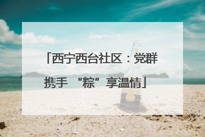 西宁西台社区：党群携手 “粽”享温情