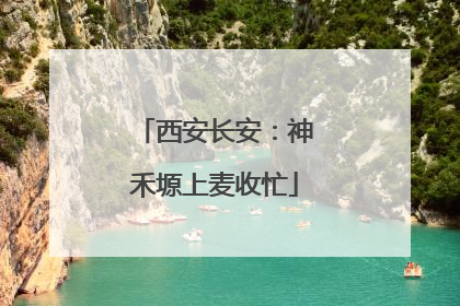 西安长安：神禾塬上麦收忙