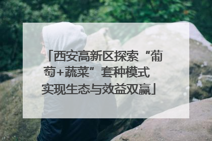 西安高新区探索“葡萄+蔬菜”套种模式 实现生态与效益双赢