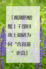 观潮的螃蟹丨干部回故土调研为何“含真量”更高
