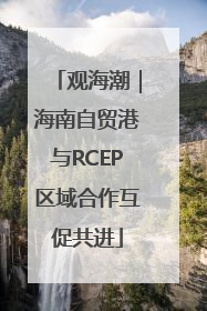 观海潮｜海南自贸港与RCEP区域合作互促共进