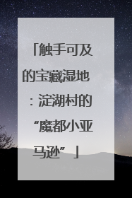 触手可及的宝藏湿地：淀湖村的“魔都小亚马逊”