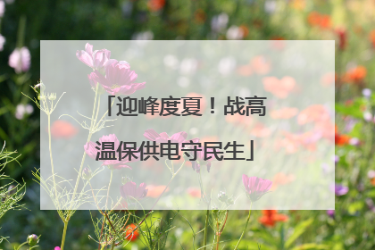 迎峰度夏！战高温保供电守民生