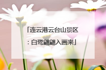 连云港云台山景区：白鹭翩翩入画来