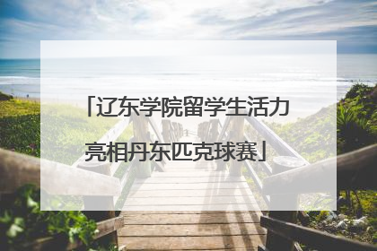 辽东学院留学生活力亮相丹东匹克球赛