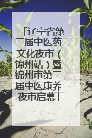 辽宁省第二届中医药文化夜市（锦州站）暨锦州市第二届中医康养夜市启幕