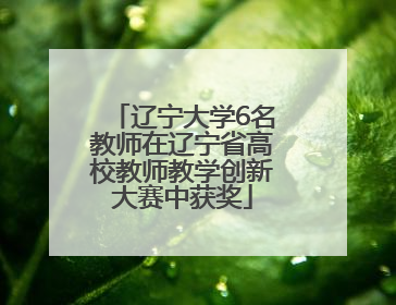 辽宁大学6名教师在辽宁省高校教师教学创新大赛中获奖
