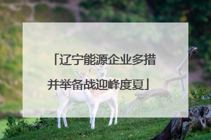 辽宁能源企业多措并举备战迎峰度夏