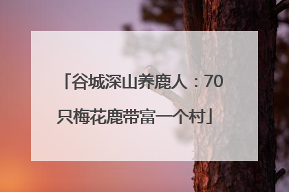 谷城深山养鹿人：70只梅花鹿带富一个村