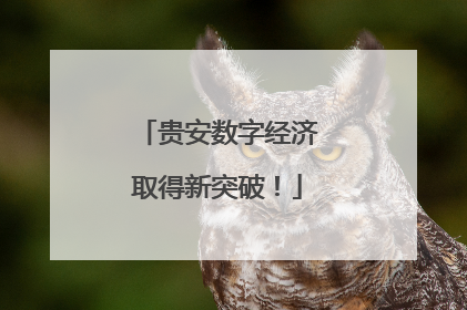 贵安数字经济取得新突破！