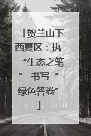 贺兰山下西夏区：执“生态之笔” 书写“绿色答卷”