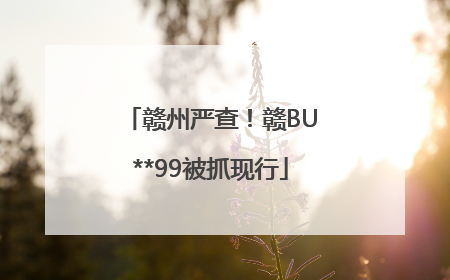 赣州严查！赣BU**99被抓现行
