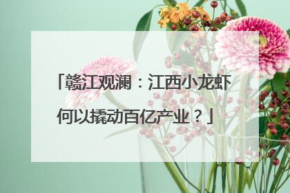 赣江观澜：江西小龙虾何以撬动百亿产业？
