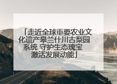走近全球重要农业文化遗产皋兰什川古梨园系统 守护生态瑰宝 激活发展动能