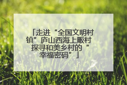 走进“全国文明村镇”庐山西海上畈村 探寻和美乡村的“幸福密码”