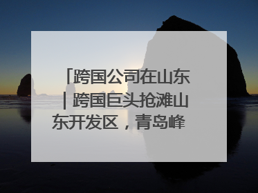 跨国公司在山东｜跨国巨头抢滩山东开发区，青岛峰会拉开帷幕