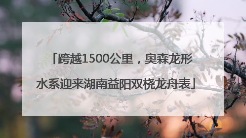 跨越1500公里，奥森龙形水系迎来湖南益阳双桡龙舟表