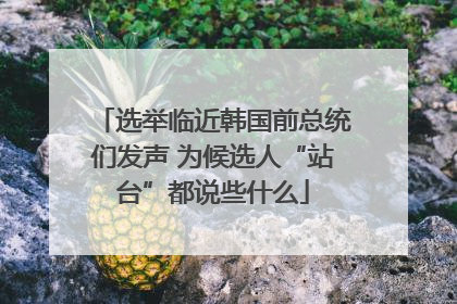 选举临近韩国前总统们发声 为候选人“站台”都说些什么