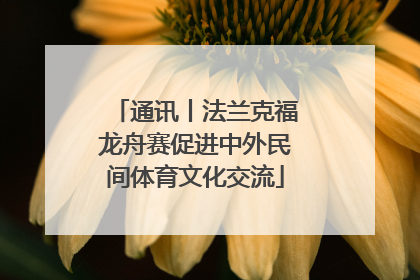 通讯丨法兰克福龙舟赛促进中外民间体育文化交流
