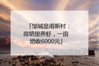 邹城皇甫新村：荷塘里养虾，一亩增收6000元