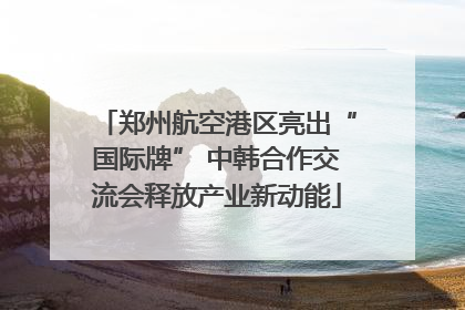 郑州航空港区亮出“国际牌” 中韩合作交流会释放产业新动能