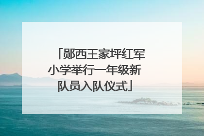 郧西王家坪红军小学举行一年级新队员入队仪式
