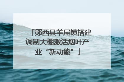 郧西县羊尾镇搭建调制大棚激活烟叶产业“新动能”