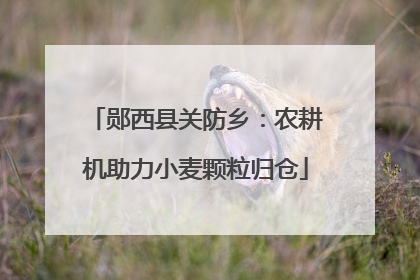 郧西县关防乡：农耕机助力小麦颗粒归仓