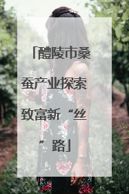 醴陵市桑蚕产业探索致富新“丝”路