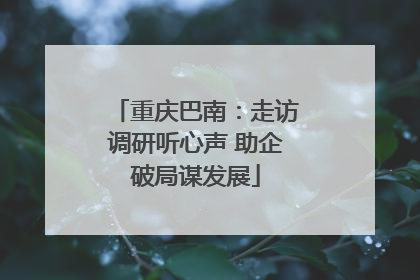 重庆巴南：走访调研听心声 助企破局谋发展