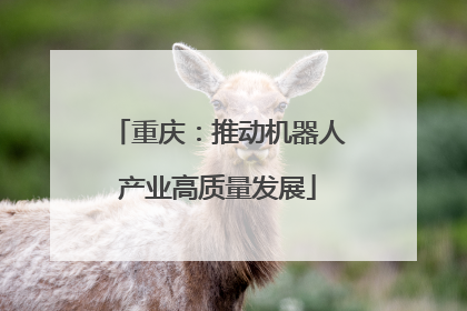 重庆：推动机器人产业高质量发展