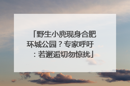 野生小麂现身合肥环城公园？专家呼吁：若邂逅切勿惊扰