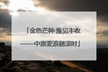 金色芒种·豫见丰收——中原麦浪翻滚时