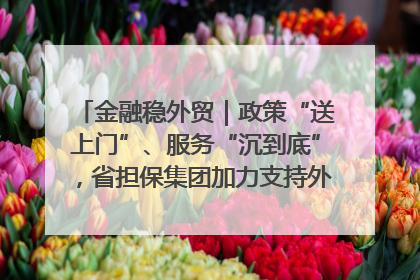 金融稳外贸｜政策“送上门”、服务“沉到底”，省担保集团加力支持外经贸高质量发展