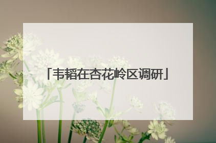 韦韬在杏花岭区调研