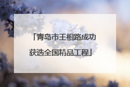 青岛市王相路成功获选全国精品工程