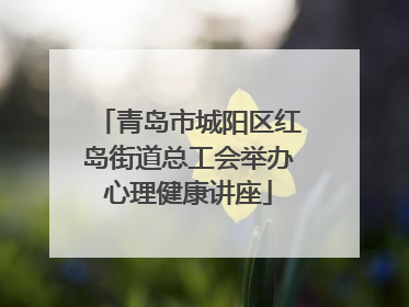 青岛市城阳区红岛街道总工会举办心理健康讲座