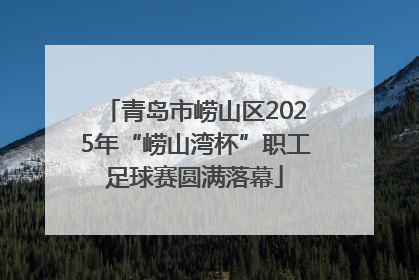 青岛市崂山区2025年“崂山湾杯”职工足球赛圆满落幕